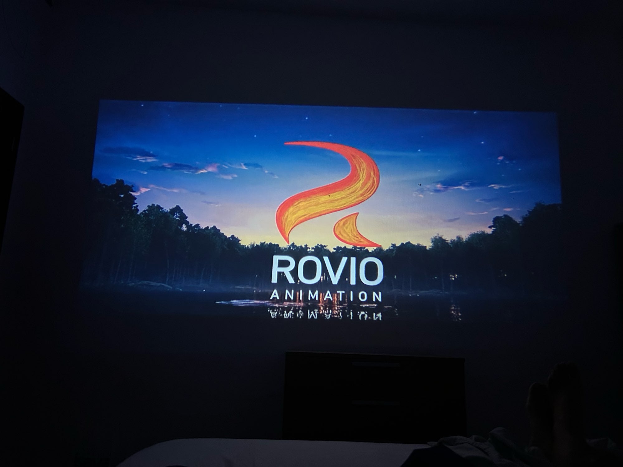Cine nocturno en pared Rosa A.